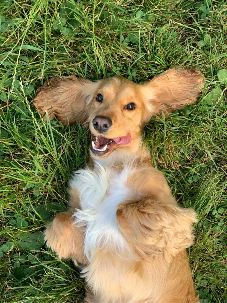 ralu gal g8cb8hy3yvu unsplash ralu gal g8cb8hy3yvu unsplash